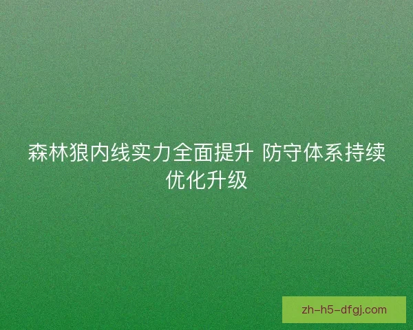森林狼内线实力全面提升 防守体系持续优化升级 森林狼内线实力全面提升 防守体系持续优化升级